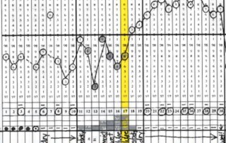 blog taking charge of your fertility taking charge of your fertility chart